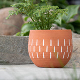 Anasie Terracotta Planter