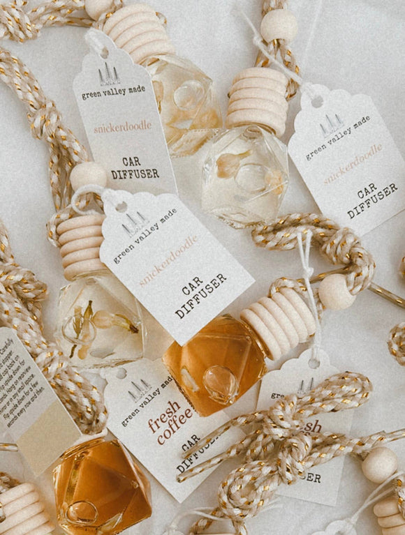 Winter/Holiday Car Diffusers | Air Fresheners